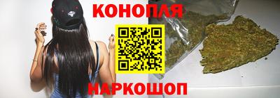 крисы Краснодар