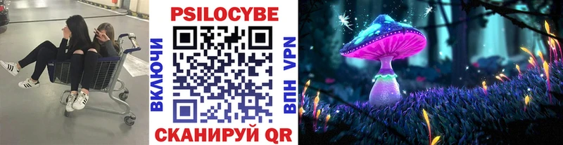 Псилоцибиновые грибы мицелий  купить наркотики цена  Якутск 