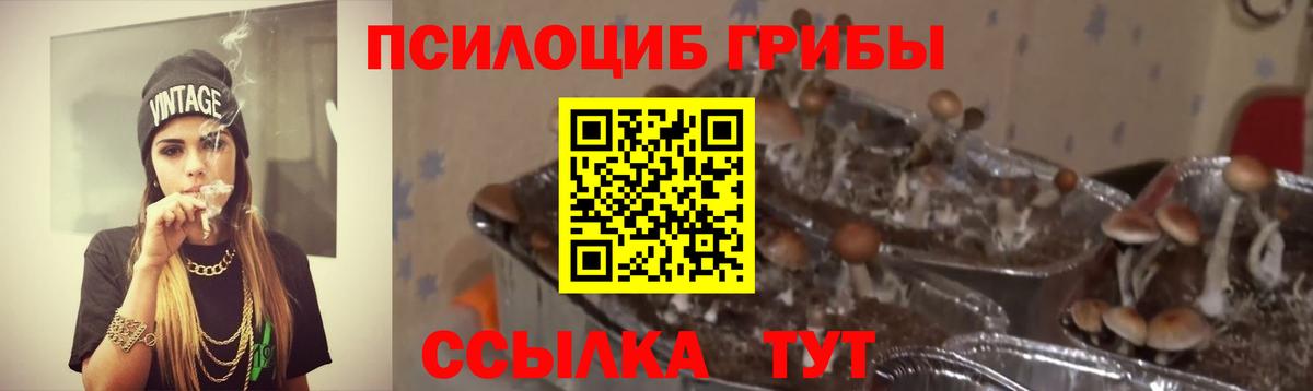 Псилоцибиновые грибы Якутск